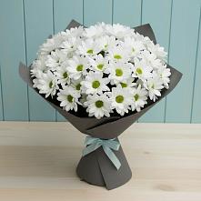 Букет цветов из:  Хризантемы в Комсомольском Республика Крым