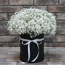 Цветочная композиция из Гипсофила в шляпной коробке #REPLACE_PRED# Комсомольском Республика Крым